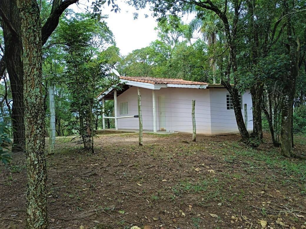 Fazenda à venda com 3 quartos, 600m² - Foto 8